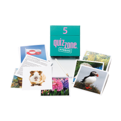 quizzone Stories 5